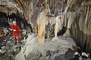 Speleothems in Ursa Minor Cave Ursa minor cave.jpg