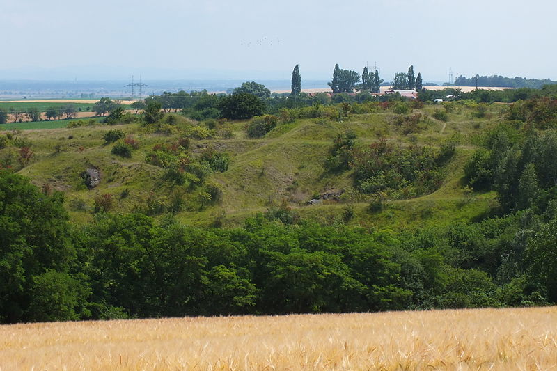 File:Vápenice – natural monument 15.jpg