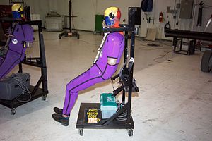 Crash Test Dummy