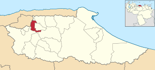 <span class="mw-page-title-main">Baruta Municipality</span> Municipality in Miranda, Venezuela