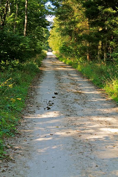 File:Versoix - panoramio (16).jpg