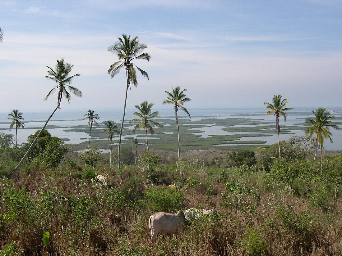 File:Vista de los Cayos de Morrocoy.JPG