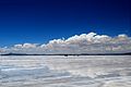 Uyuni kachi qucha