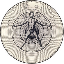 220px-Vitruvian_macrocosm.jpg