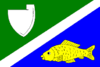 Bandeira de Jaroslav