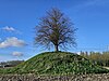 Terrein waarin een vluchtberg/kasteelberg