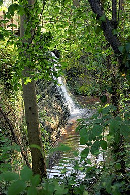 Waterfall and stream - Trull - geograph.org.uk - 1298229