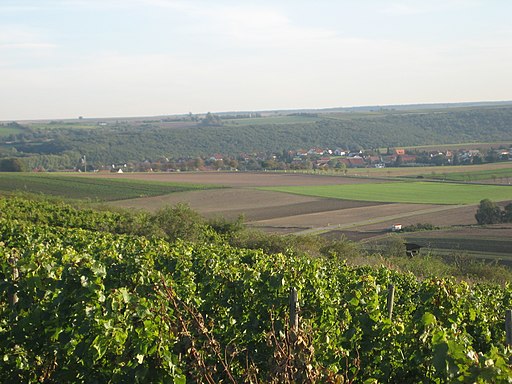 Wendelsheim view2