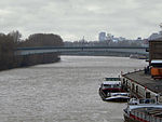 Werksbrücke Mitte (Höchst)