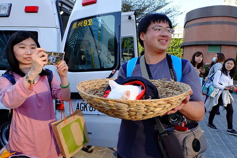 File:Woman Photographing White Cat on Basket in CWT42 20160213.jpg