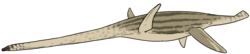 Woolungasaurus glendowerensis.png