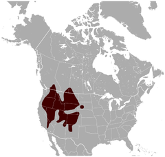 Yellow-bellied Marmot Marmota flaviventris distribution map.png