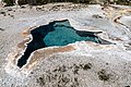 Yellowstone National Park (WY, USA), Upper Geyser Basin, Blue Star Spring -- 2022 -- 2623.jpg