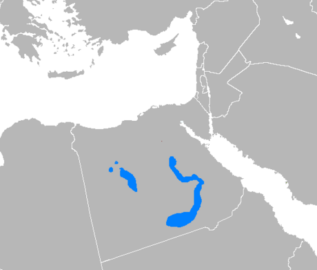 Övre Egypten-arabiska