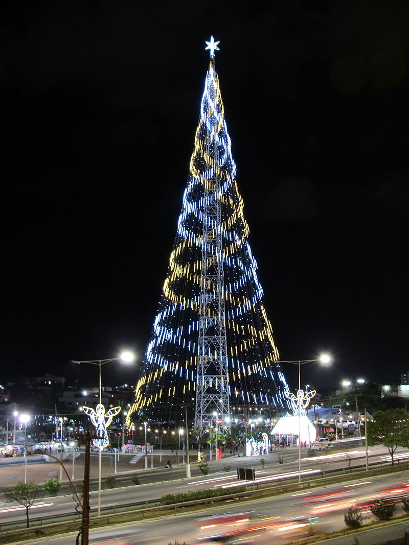 Ficheiro:Árvore de natal em Natal-RN (2016).jpg – Wikipédia, a enciclopédia  livre