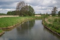 řeka v Olsztyně u osady Brzeziny