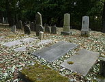 Čeština: Náhrobky na židovském hřbitově v Batelově, okres Jihlava. English: Gravestones in the Jewish cemetery by the village of Batelov, Jihlava District, Vysočina Region, Czech Republic.