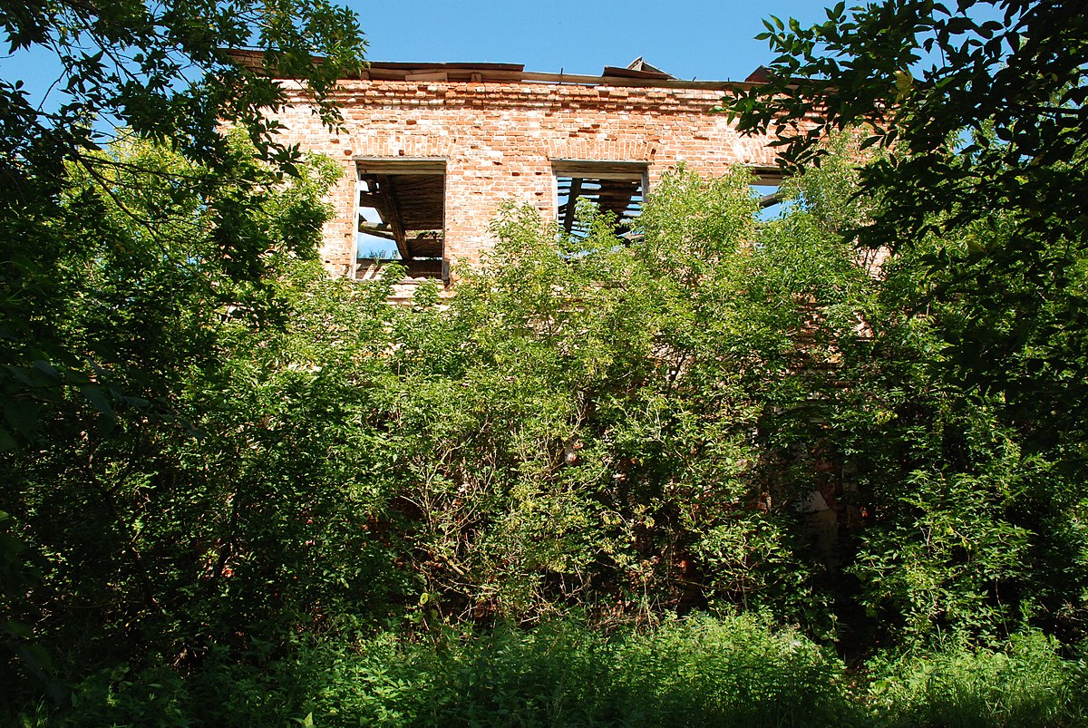 Село иваньково тульской области фото