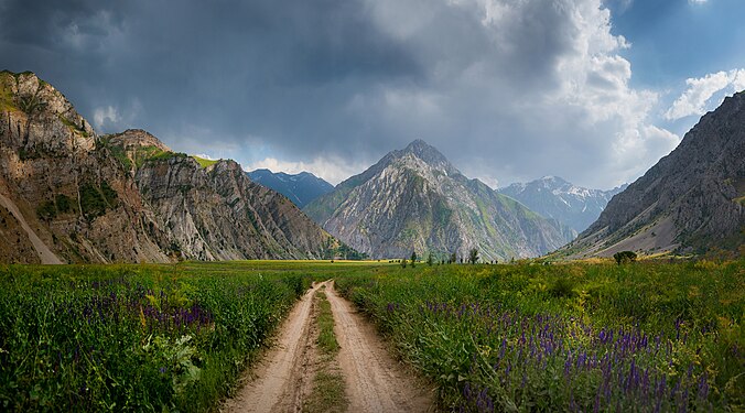 23. Ugom Chatkal State National Natural Park author - Arina Pan