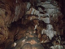 Урочище Карадагский лес, Скельская пещера 05.JPG