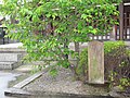 和泉式部歌碑、京都誠心院