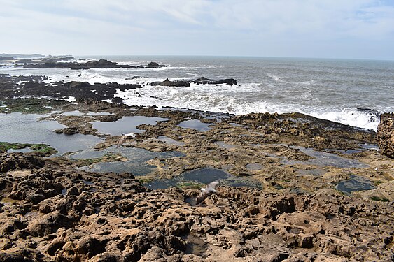 Atlantic coast in moroccan coastal city Essaouira