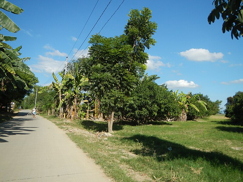 File:04897jfBuas Poblacion Gulap Santo Road Bridge Candaba Pampangafvf 09.JPG