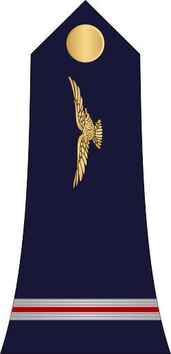 File:06.Cameroon Air Force-WO.svg