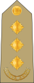 09. Kenyan Army CAPT.svg