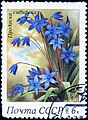 Scilla siberica in a Russian stamp