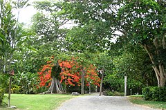 St. George Village Botanical Gardens