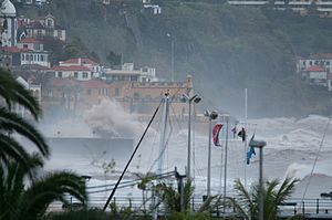 2010 Madeira Floods And Mudslides