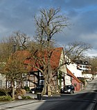 2018-01-10 Linde am Knickberg, Weine, NRW 01.jpg