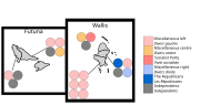 Thumbnail for 2022 Wallis and Futuna Territorial Assembly election