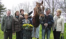 Photo de face d'un vieux cheval entouré de plusieurs hommes et femmes.