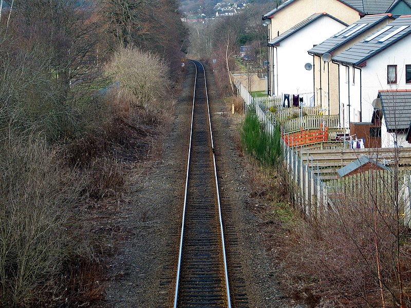 File:A cat puts its life on the line - geograph.org.uk - 1703593.jpg