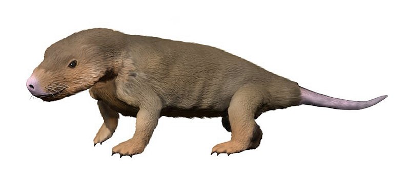 File:Abdalodon diastematicus life restoration.jpg