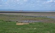 Aberlady Bay kun vido inspektanta la Forth