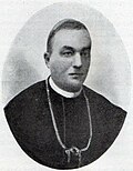 Sličica za Agostino Gaetano Riboldi