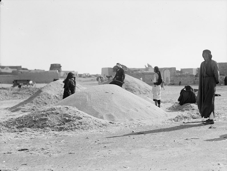 File:Agriculture, etc. Piles of millet seed on threshing floors of Kakoun on the Plain of Sharon LOC matpc.15640.jpg