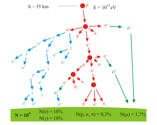 Air shower formation in the atmosphere. First proton collides with a particle in the air creating pions, protons and neutrons. AirShower.svg