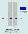 Hình xem trước của phiên bản lúc 10:00, ngày 12 tháng 4 năm 2014