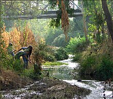 A group of Amador Valley students studies aquatic wildlife with Project Creek Watch at Arroyo Valle. Amador Valley Project Creek Watch.jpg