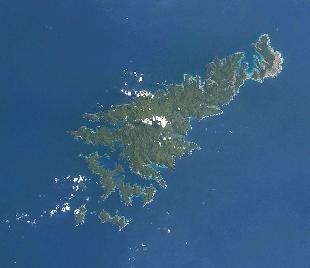 奄美大島 Wikipedia