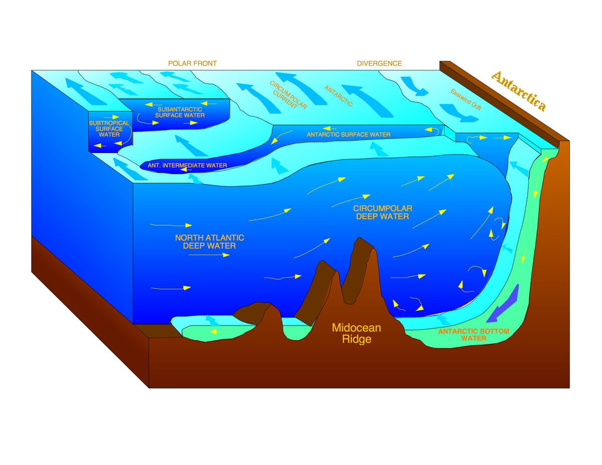 Придонные слои воды. Водные массы мирового океана. Апвеллинг. Поверхностные водные массы. Слои воды в океане.