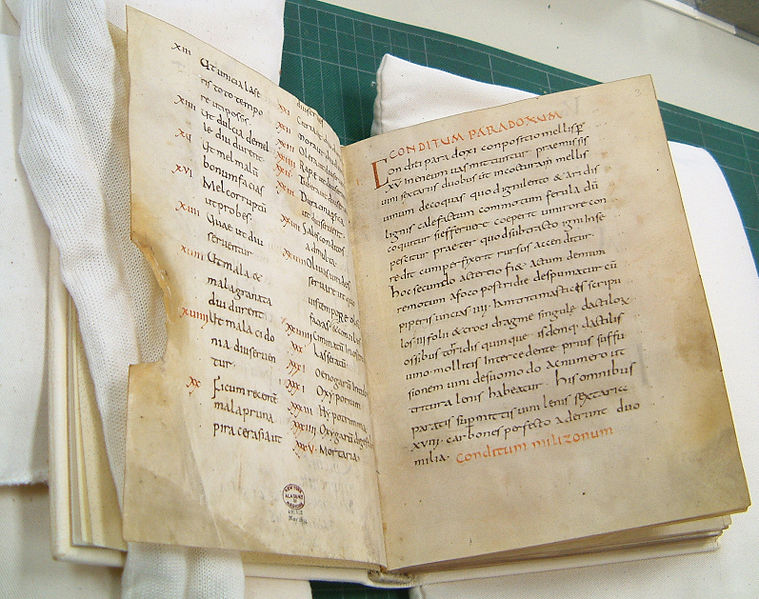 File:Apicius Handschrift New York Academy of Medicine.jpg
