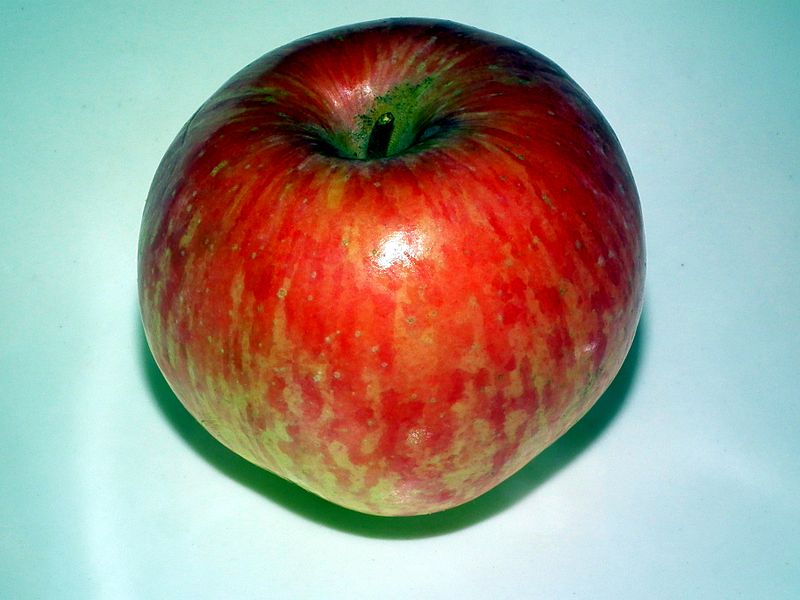 File:Apple in a plate.jpg