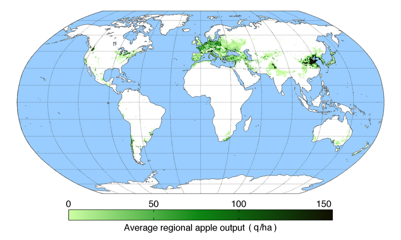 File:Appleoutput.png