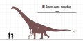 Argyrosaurus Scale Diagram