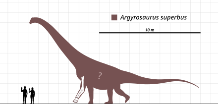 Argyrosaurus Wikiwand